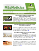 Boletín Más Noticias. Número: 256 (Sep) (2024) - application/pdf