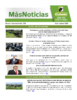 Boletín Más Noticias. Número: 258 (Oct) (2024) - application/pdf