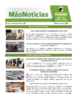 Boletín Más Noticias. Número: 259 (Oct) (2024) - application/pdf