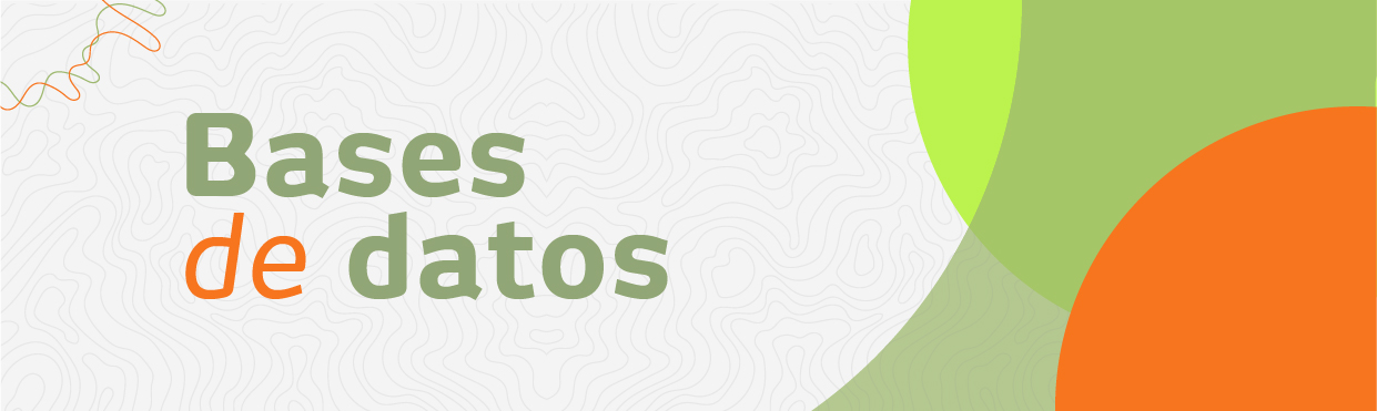 Bases de Datos