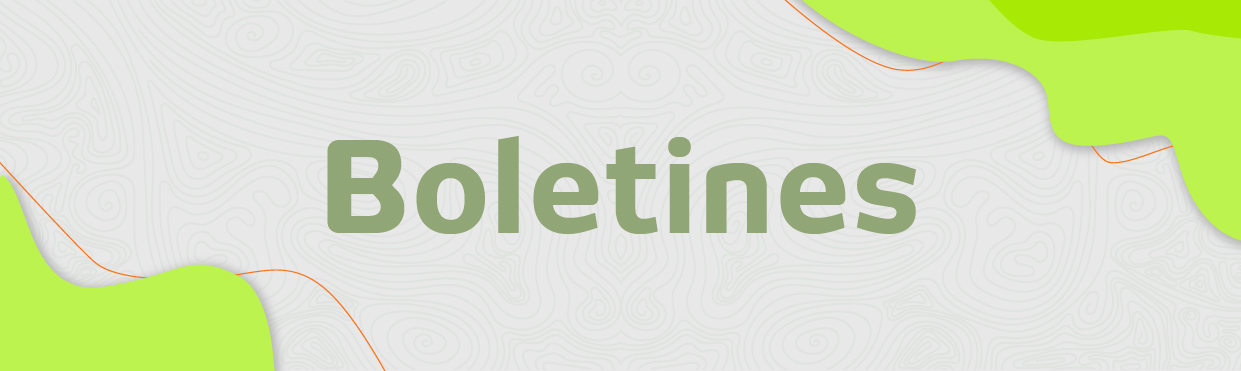 Boletines