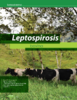 Leptospirosis bovina - application/pdf