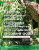 El conflicto entre el sector ganadero y los grandes felinos silvestres de la jurisdicción de Corantioquia, buscando una convivencia armónica - application/pdf