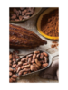 Retos de la producción sostenible de cacao - application/pdf