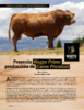 Proyecto Wagyu Prime producción de carne premium - application/pdf