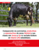 Comparación de parámetros productivos y reproductivos de vacas Holstein y sus cruces con Jersey y Gyr en un hato lechero trópico alto colombiano - application/pdf