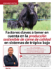 Factores claves a tener en cuenta en la producción sostenible de carne de calidad en sistemas de trópico bajo - application/pdf