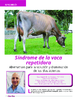 Síndrome de la vaca repetidora - application/pdf