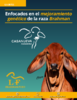 Enfocados en el mejoramiento genético de la raza Brahman, Ganadería Casanueva - application/pdf