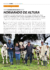 Normando de altura - application/pdf