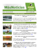 Boletín Más Noticias. Número: 263 (Nov) (2024) - application/pdf